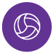 voley